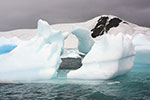 Kissing Iceberg