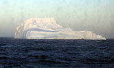 Iceberg